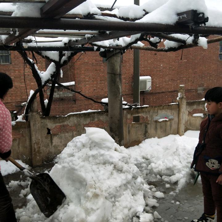常在你左右