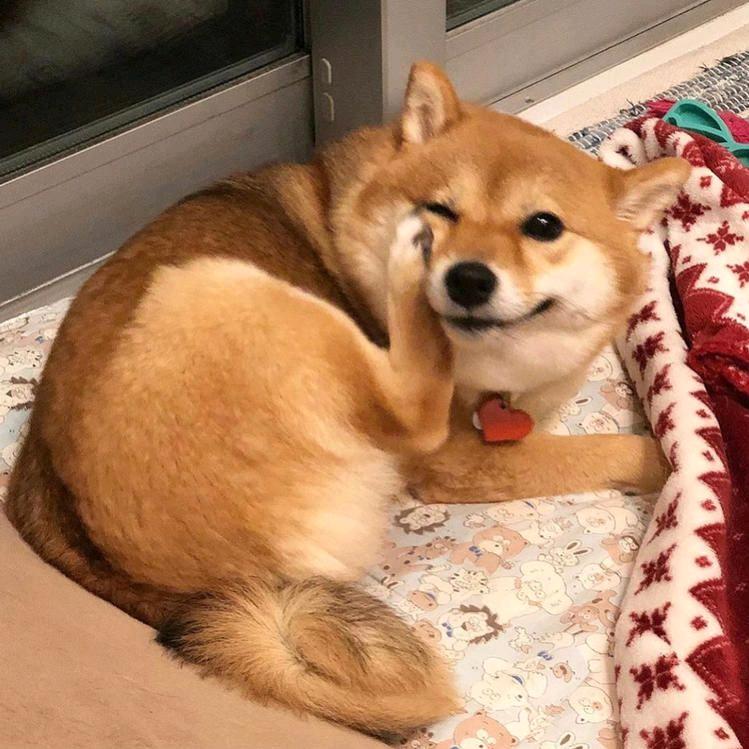 佐纹