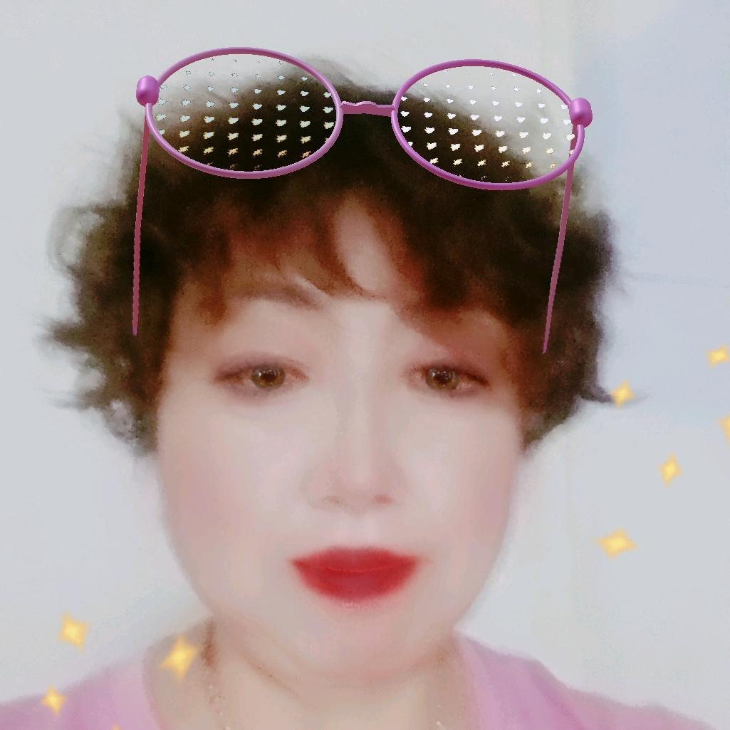 《金燕》明天会更好4601449