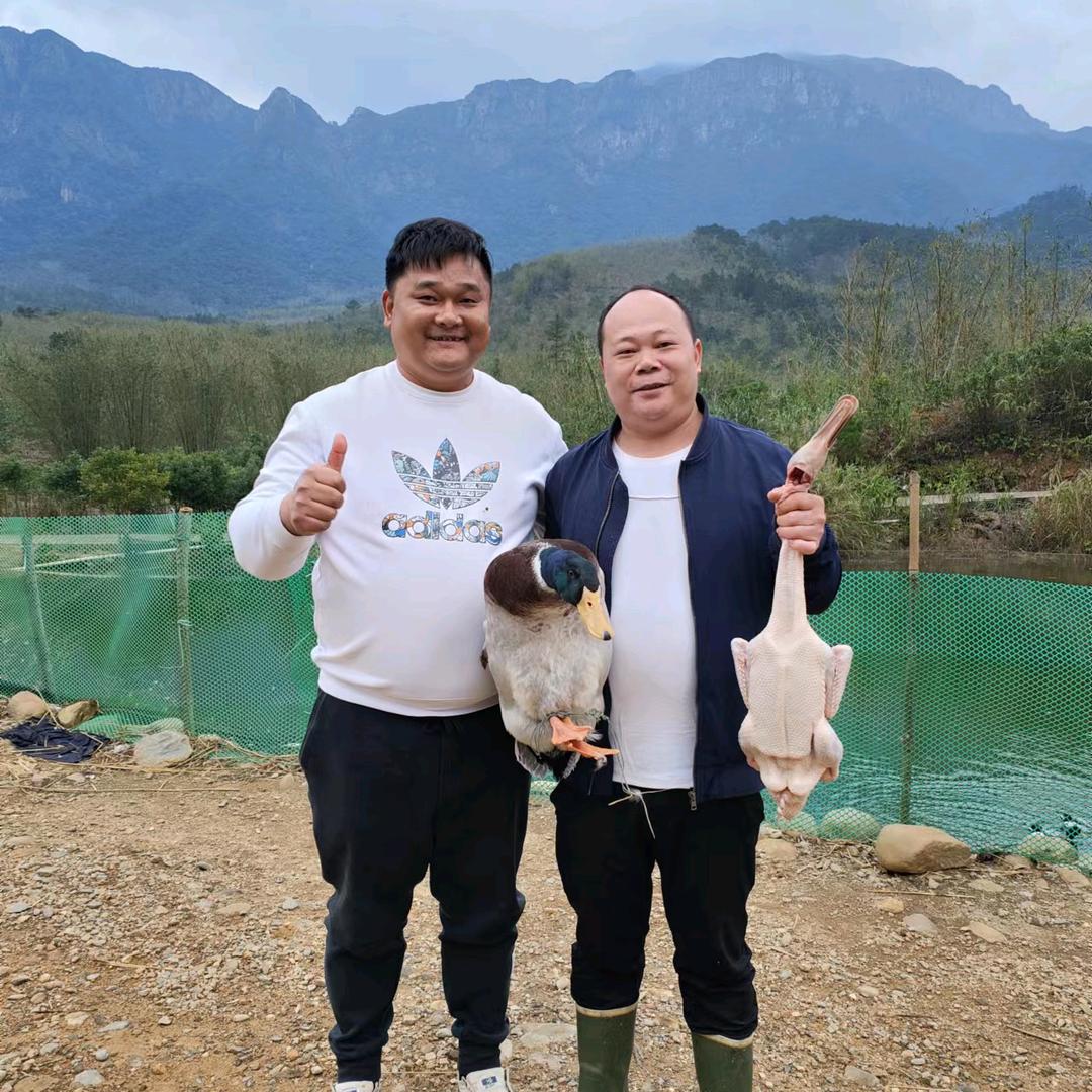 高山里的养殖户。