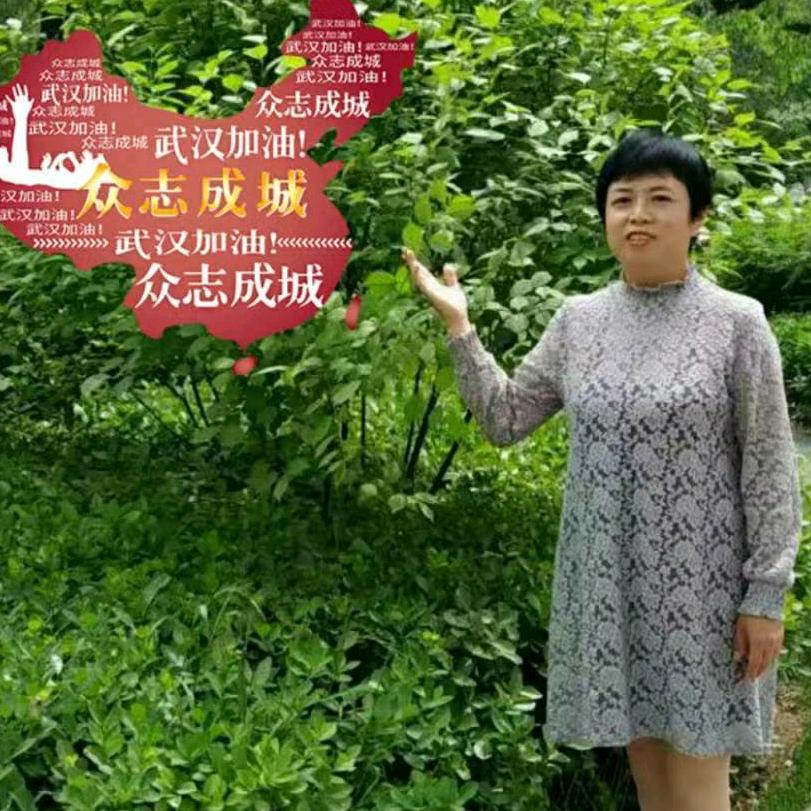 @夏雨