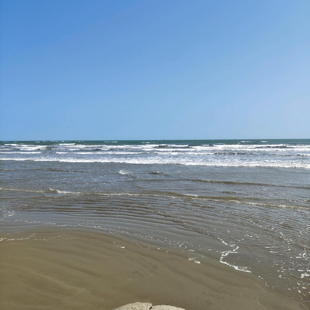 有缘来相见。清