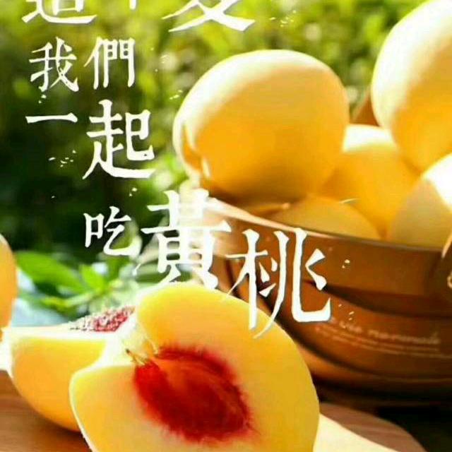Hi，黄桃熟了