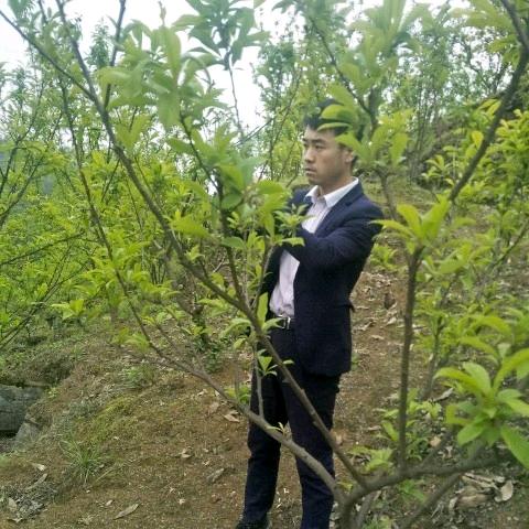 勤耕农业—营养师老刘