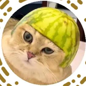 西瓜皮(＝。＝)