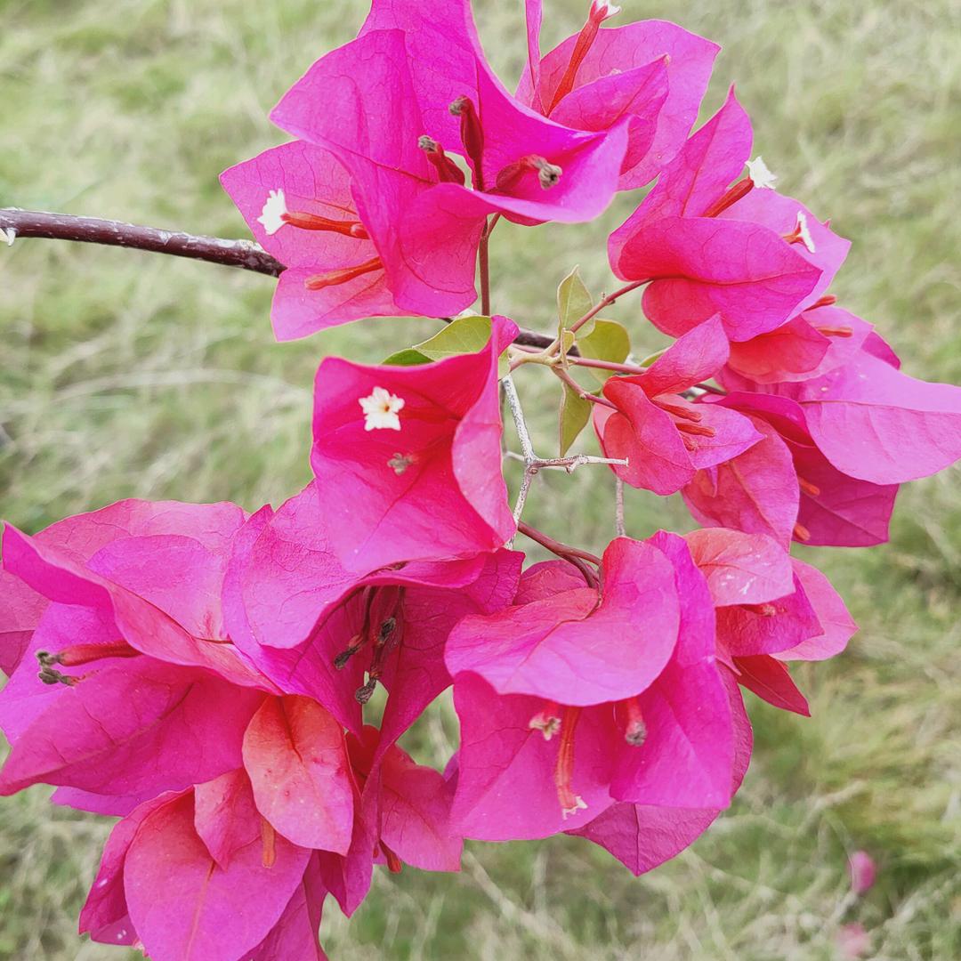 🎉🎉阳光🌼🌼