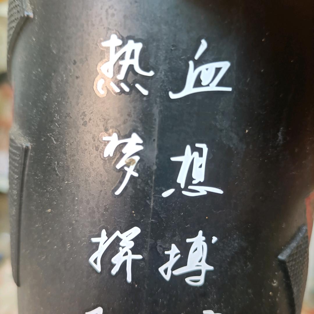 自由飞翔