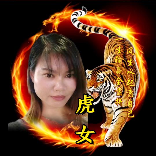 本人属虎，过好每一天