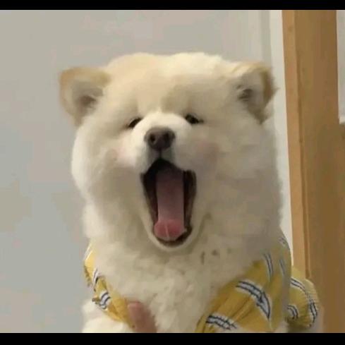 和睦（家庭和睦））