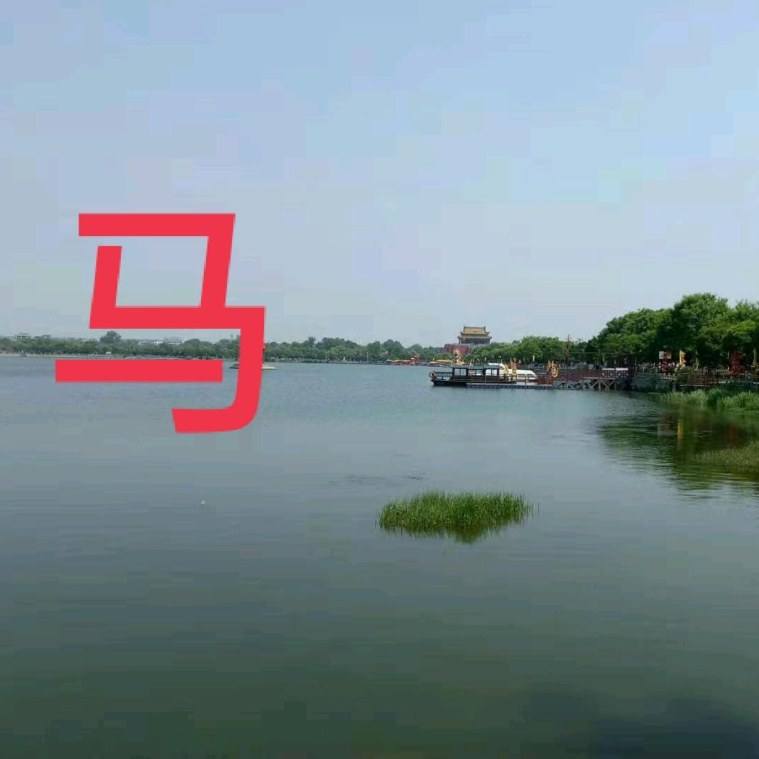 快乐一生老马