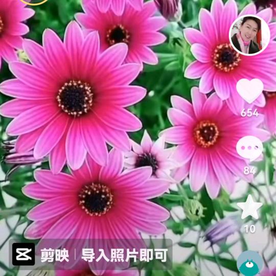 玲姐