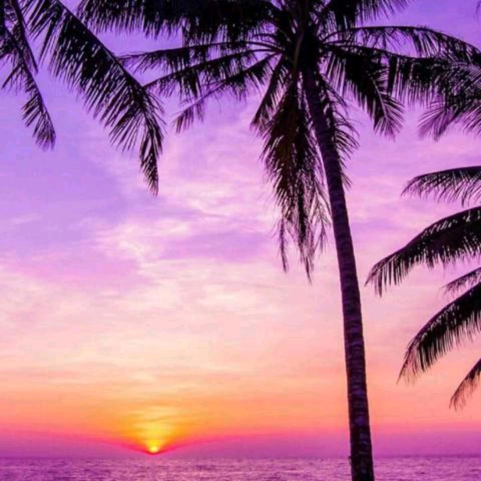 十六团盐焗五香鹌鹑蛋