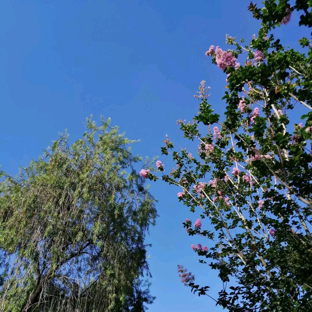 ღ🍃᭄凉透ꦿ꯭人訫꧔ꦿ້໌ᮨ💔࿐