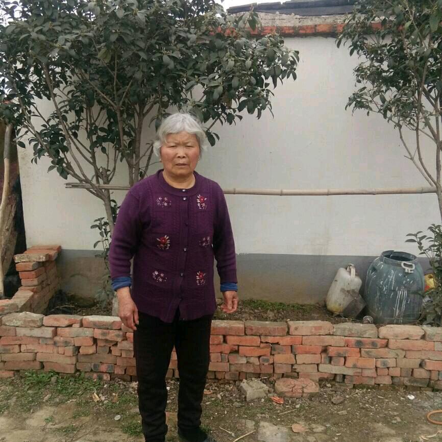 宋培兰