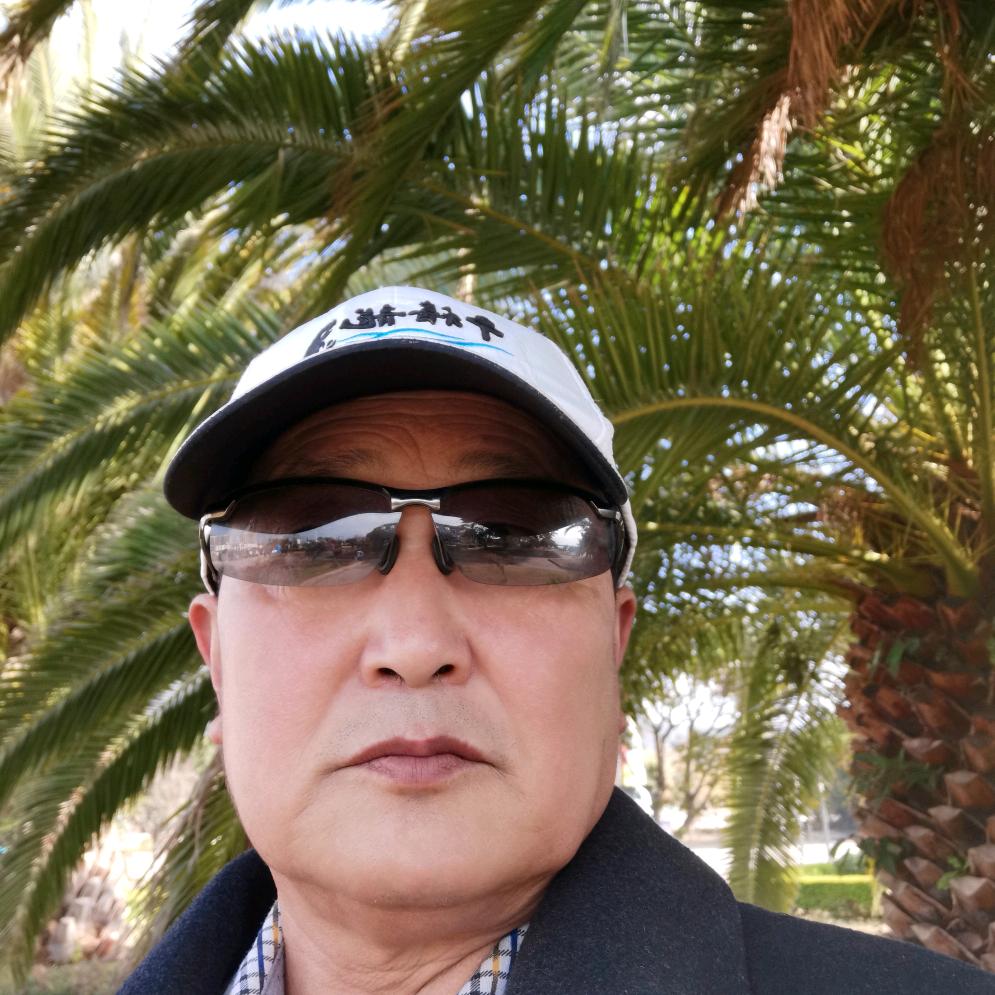 神秘护妻的潘总头像