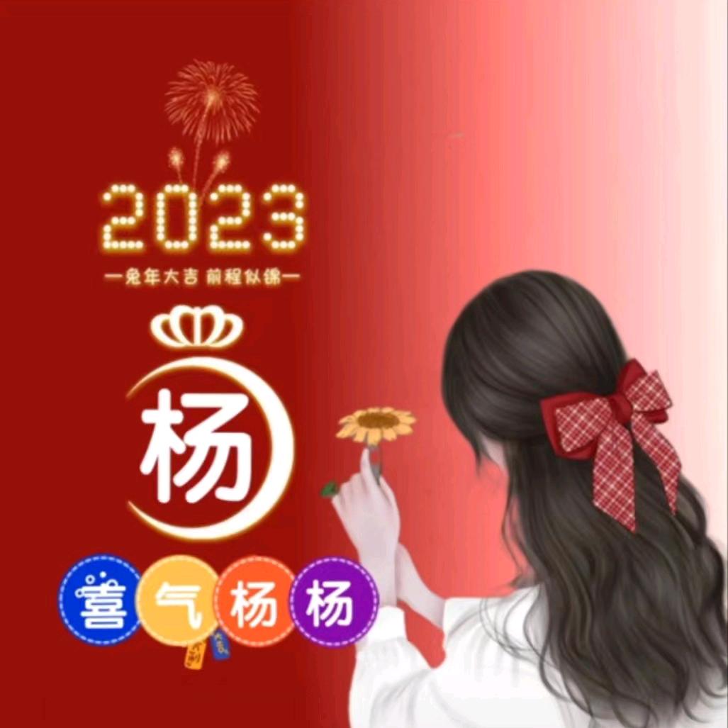 yang姐