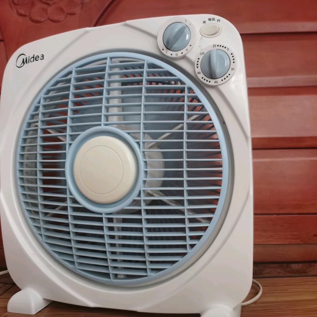 喜欢斯派克的嘉仁头像