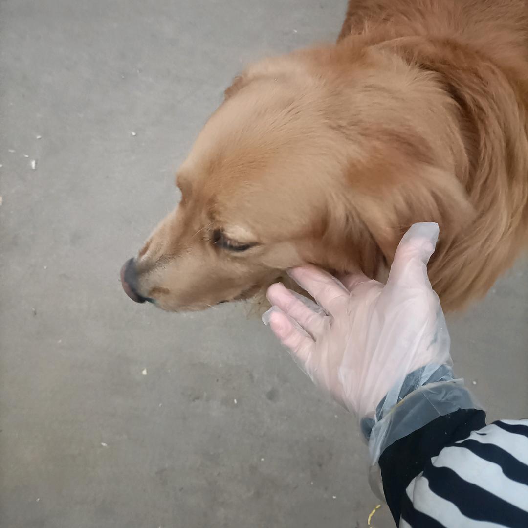 山西之州，农业