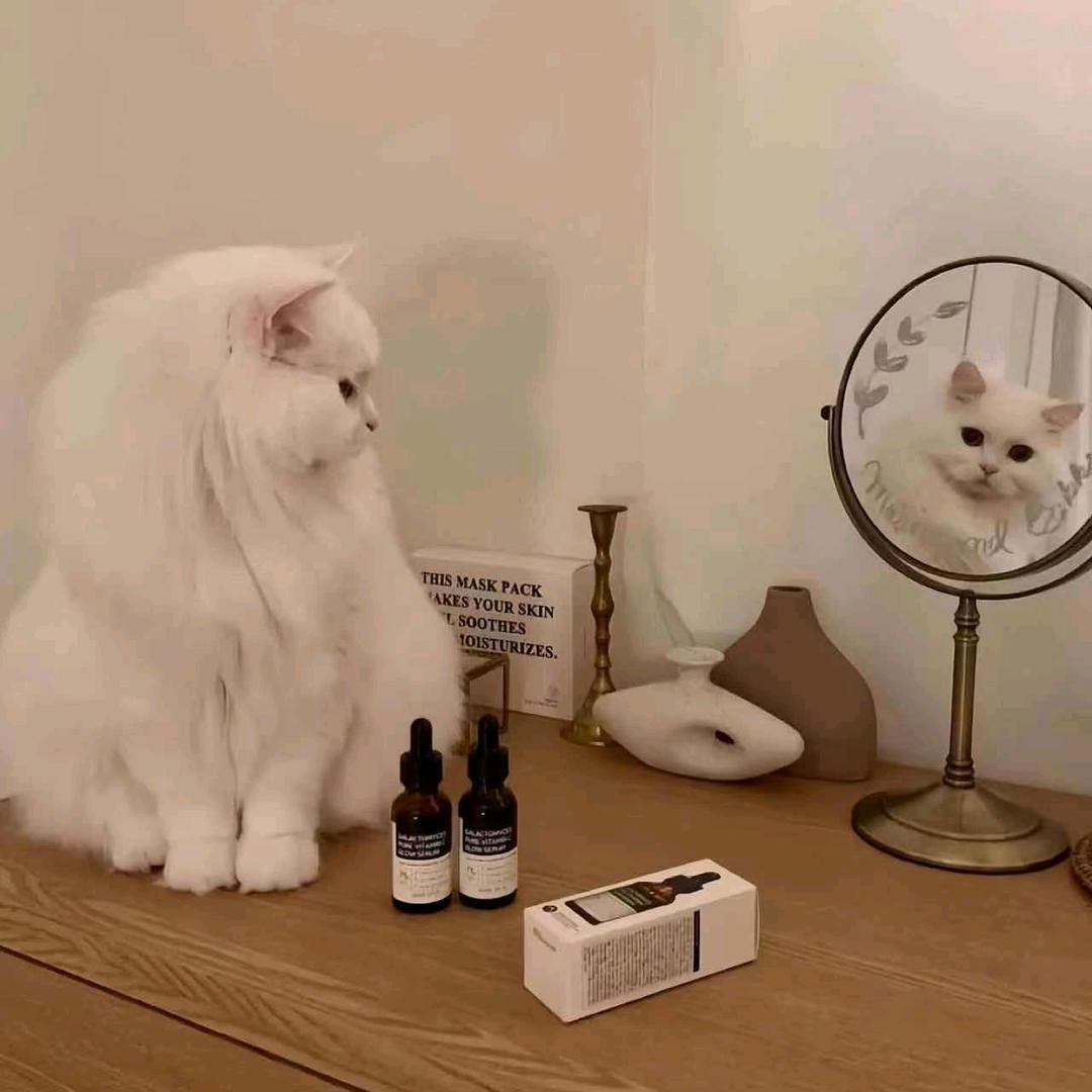 嗯哼