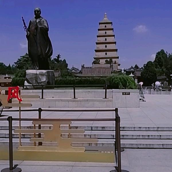 金色年华