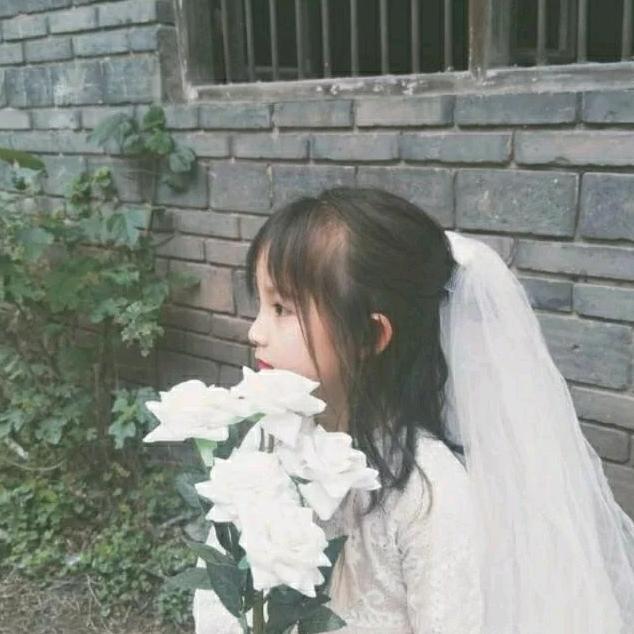 苒宝
