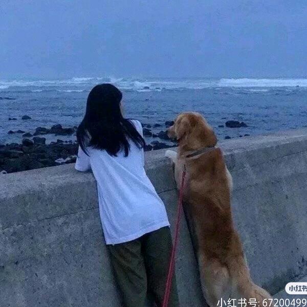 小静爱吃毛肚🥢