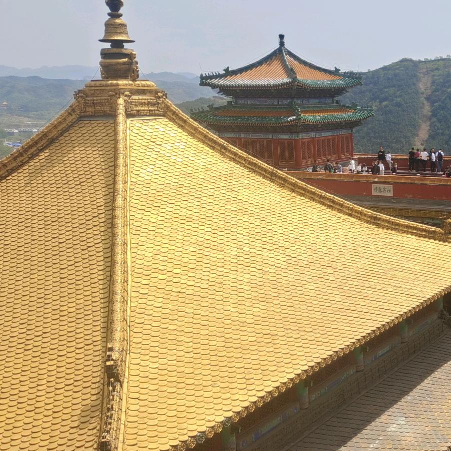 油饼卷大葱
