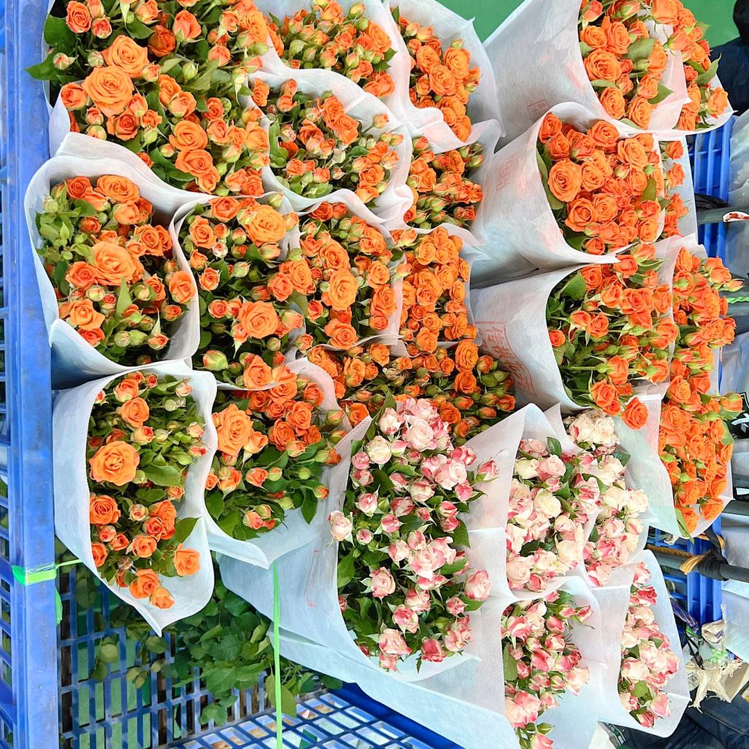 雪梅鲜花批发（小号）