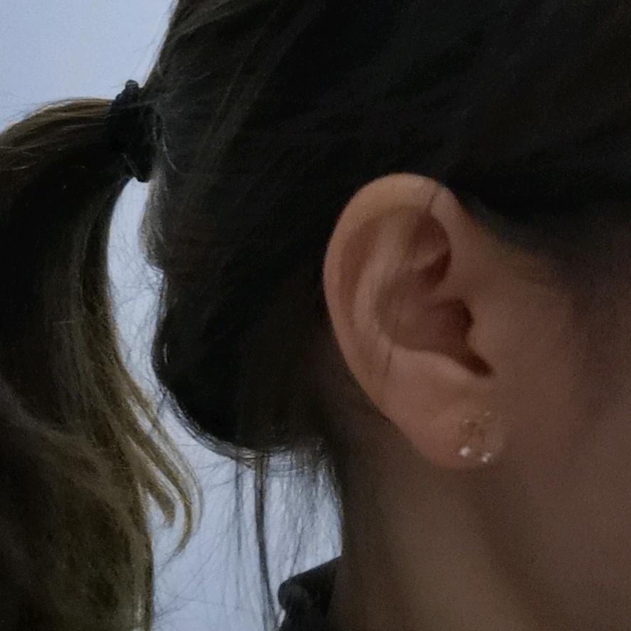 不吃蒜的猫