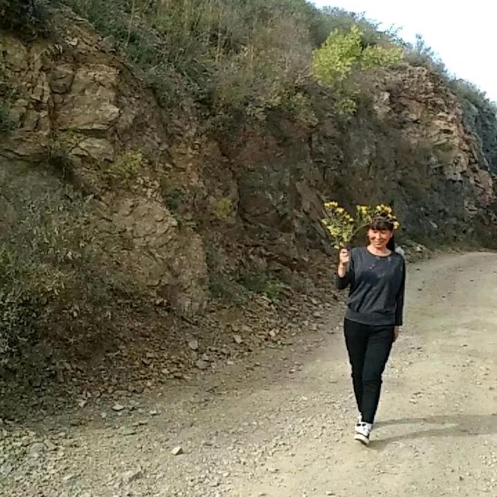蜂婆婆