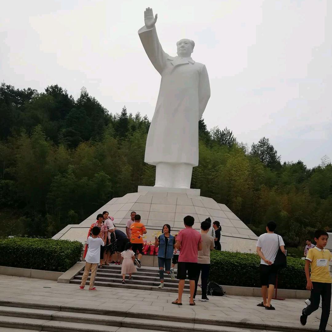 🍀🏠🐶欽🐶🏠🍀