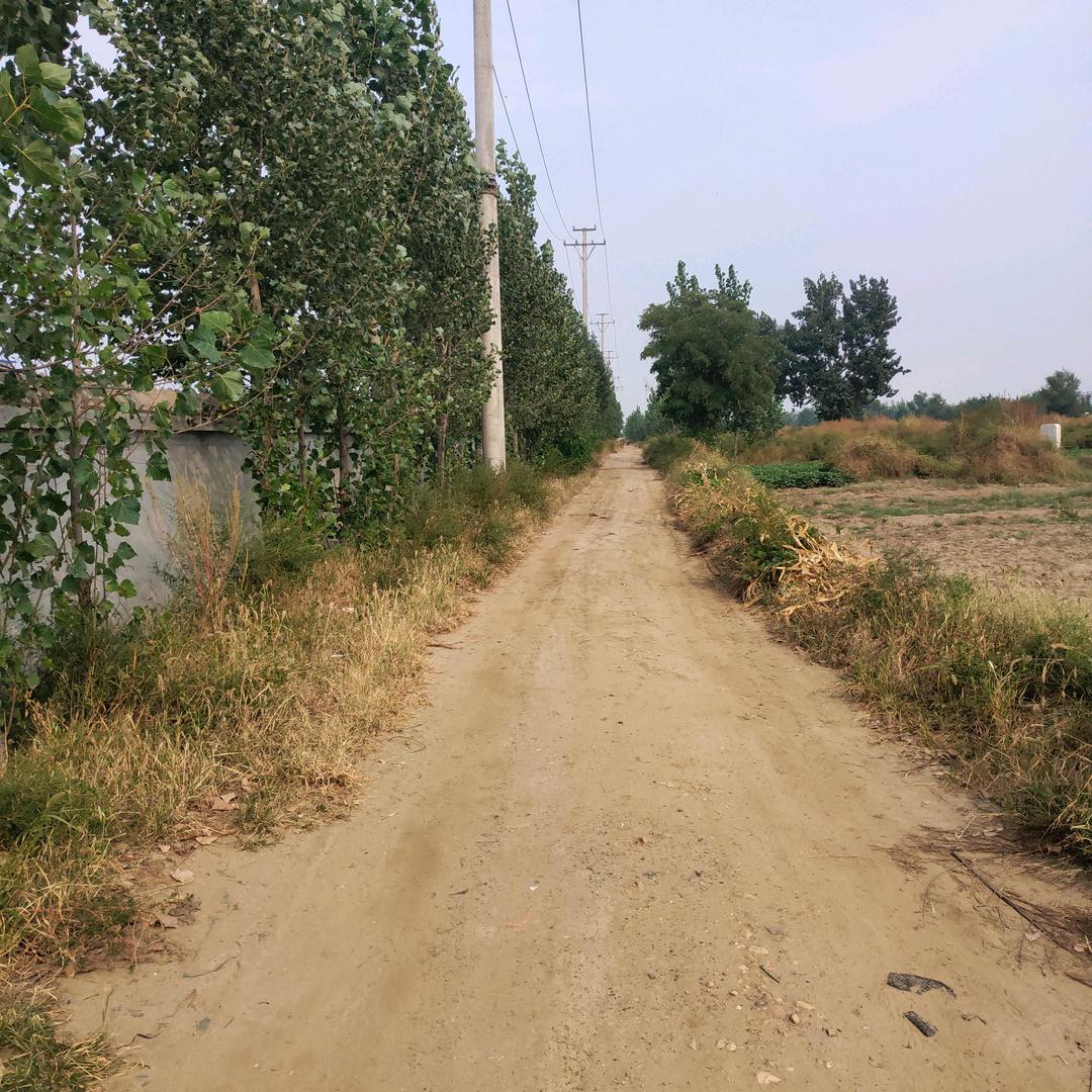 做人要实实在在