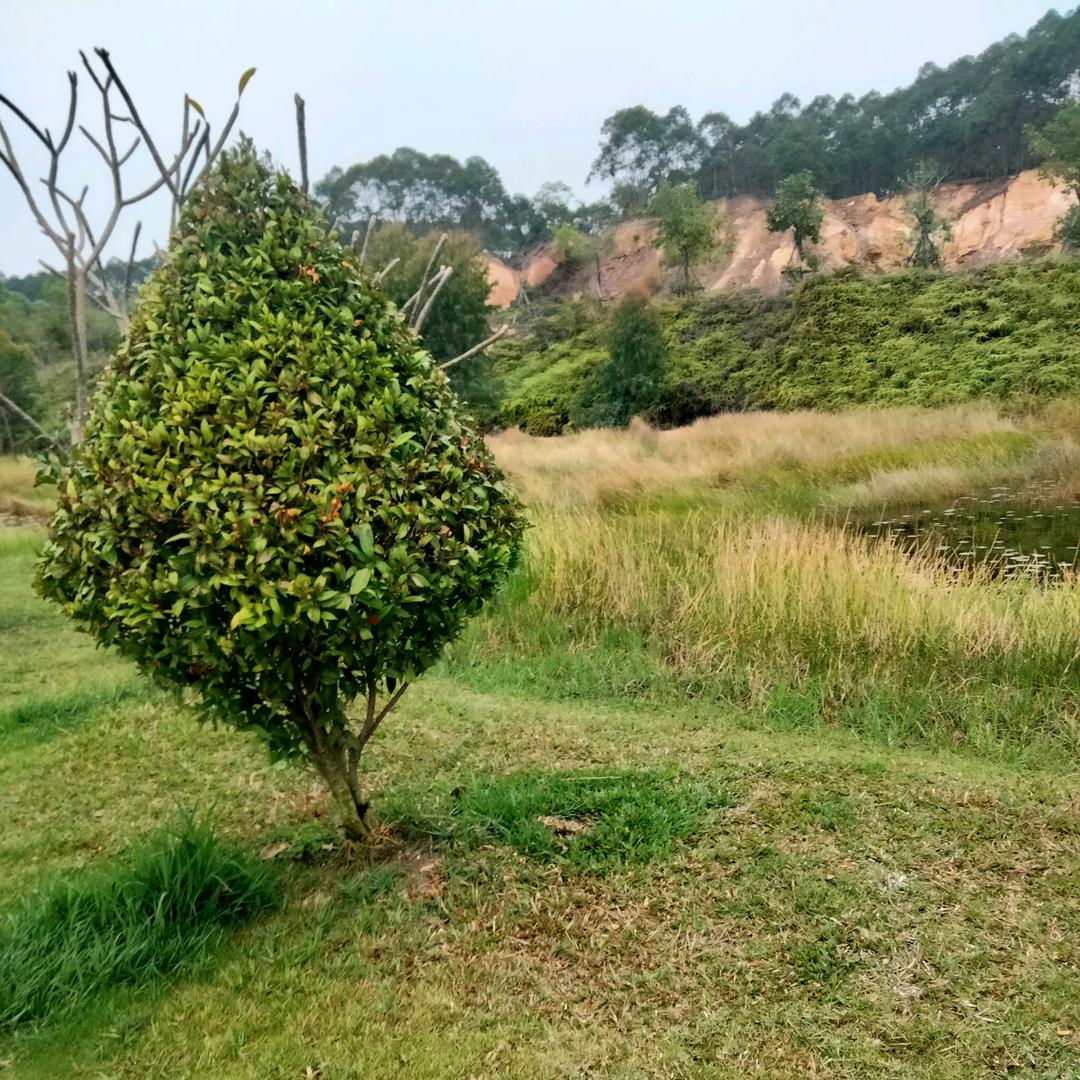 山青水秀