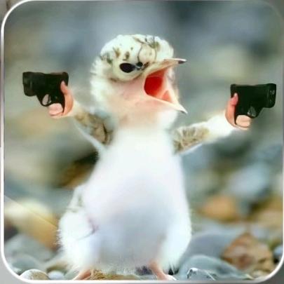 一切安好，一切随缘