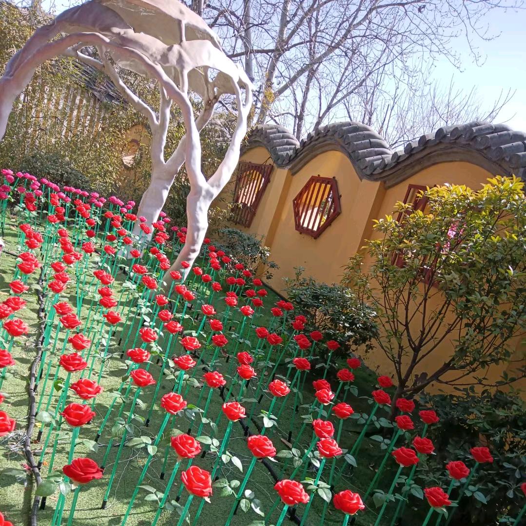 太阳遇不见月亮