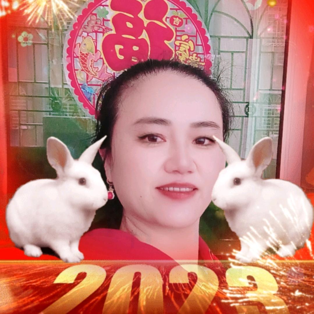 娟好慧秀