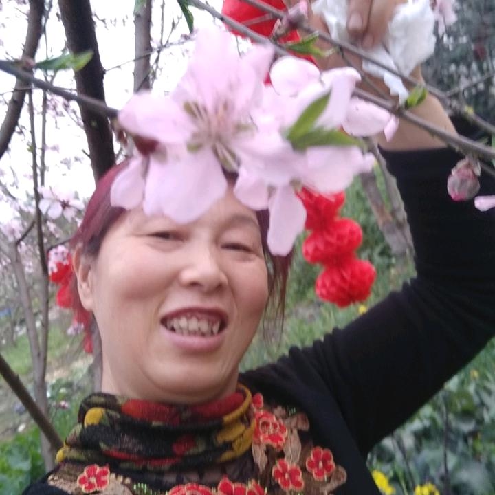 蝴蝶
