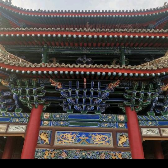 饺子鱼姐