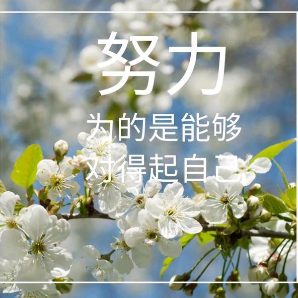 平凡77252