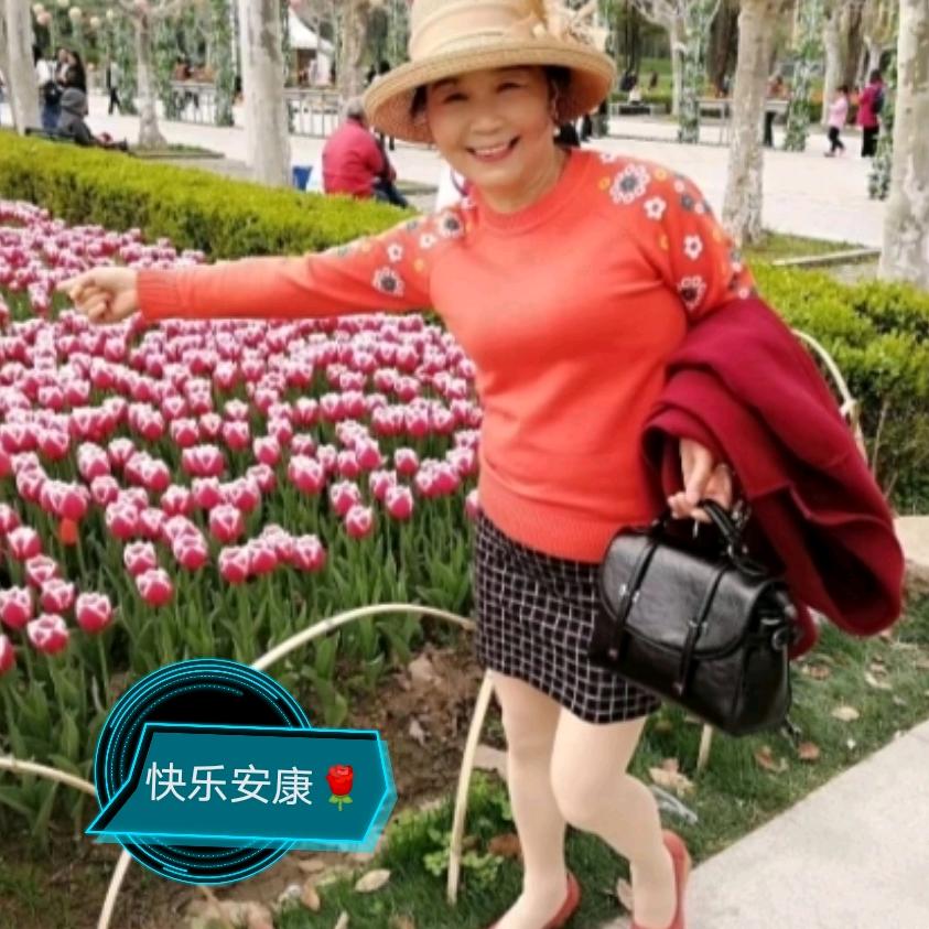 琴乐