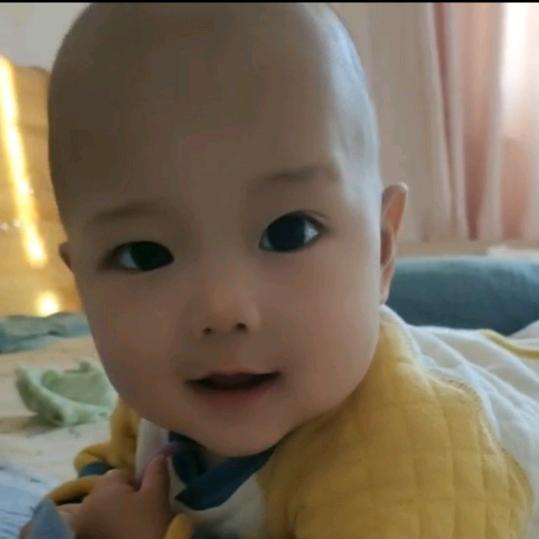顺
