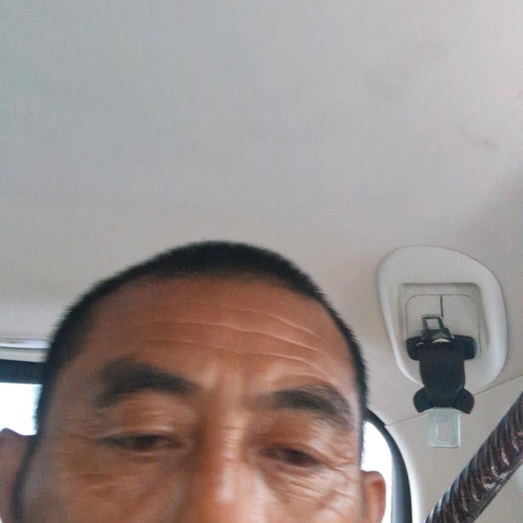 王鹏哥