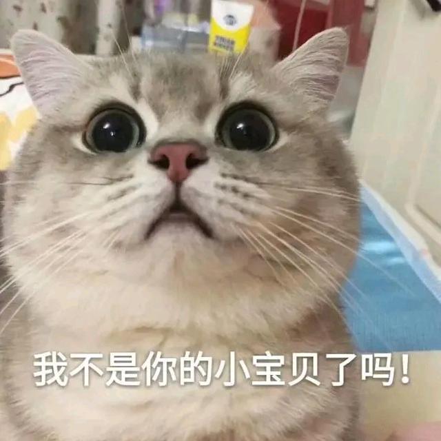 周俊