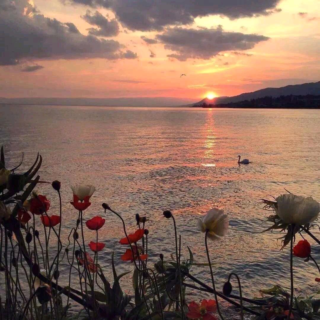 暖阳阳