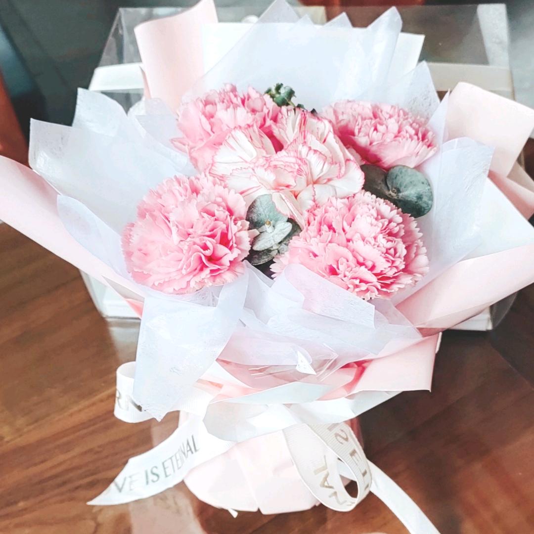 @燕子♥