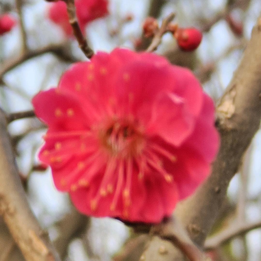 锦绣中华