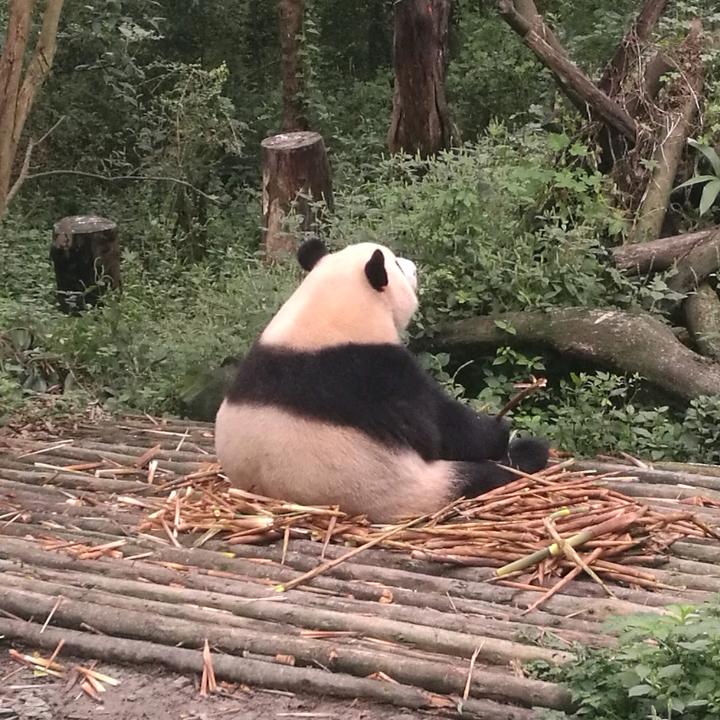 溪嶺