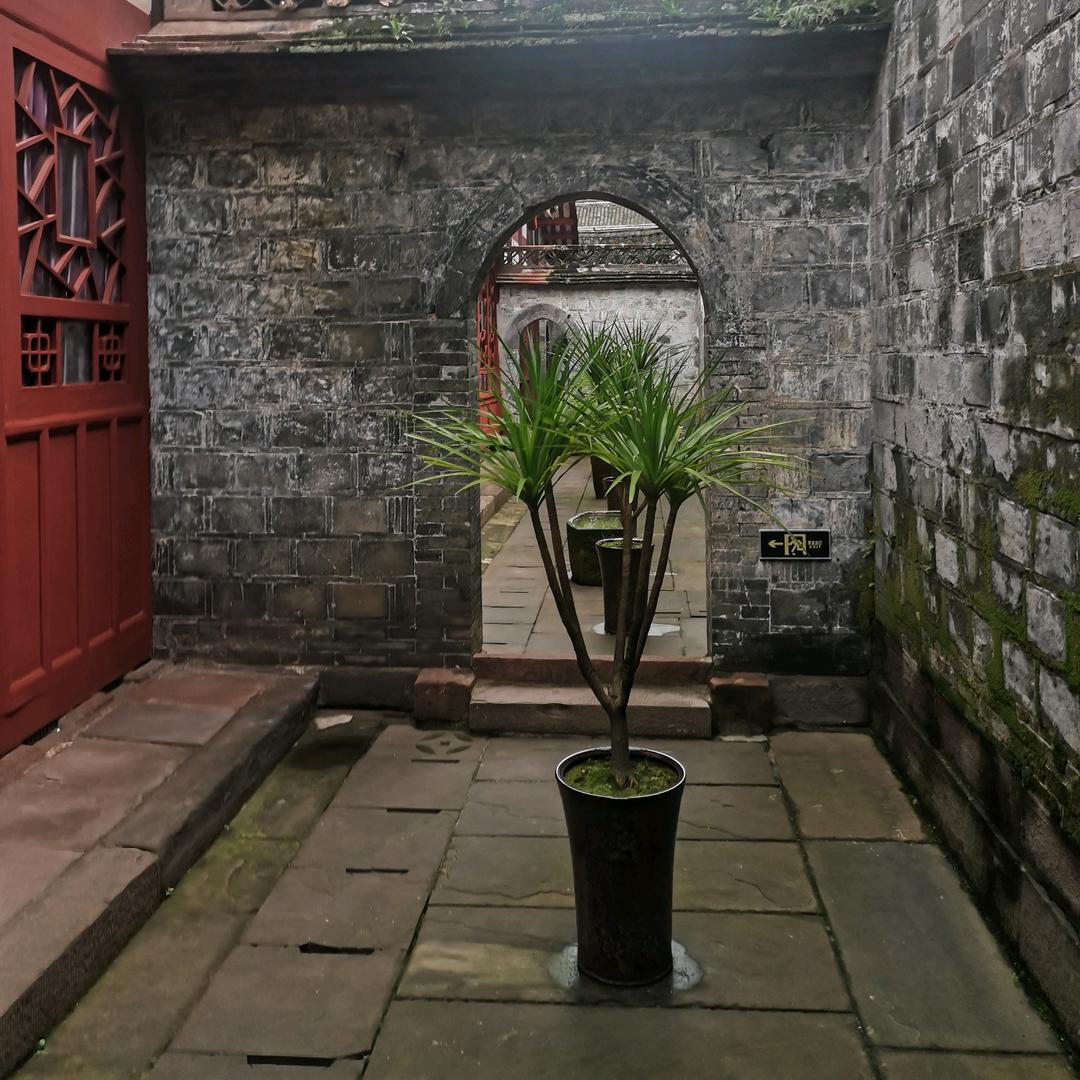江上闲人