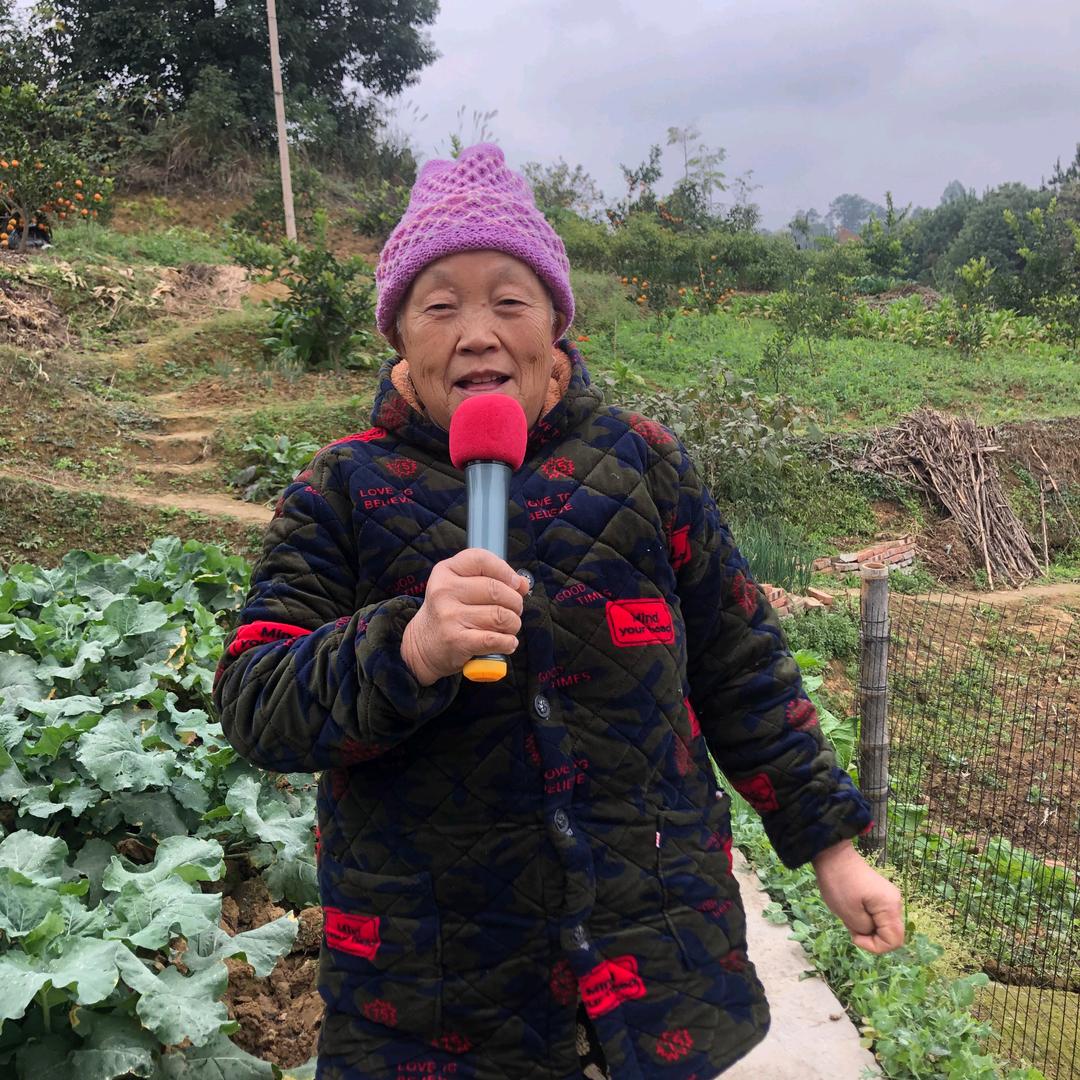 朱婆婆唱歌