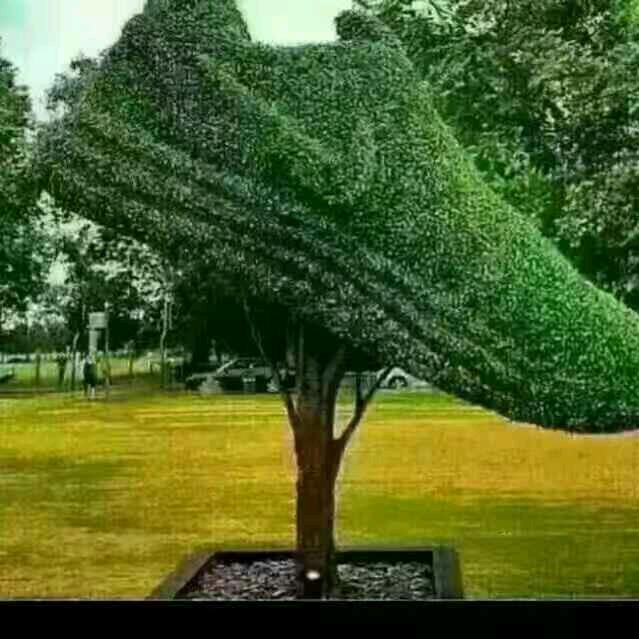 遥远鞋业（68.3）